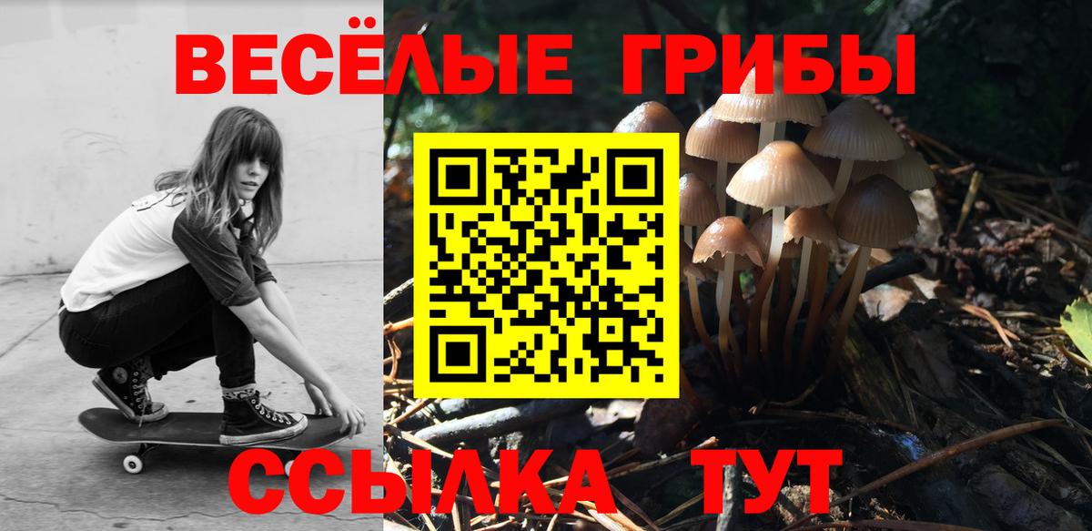 купить наркотик  Псилоцибиновые грибы Cubensis  Галлюциногенные грибы MAGIC MUSHROOMS  Вход с VPN  Луга 