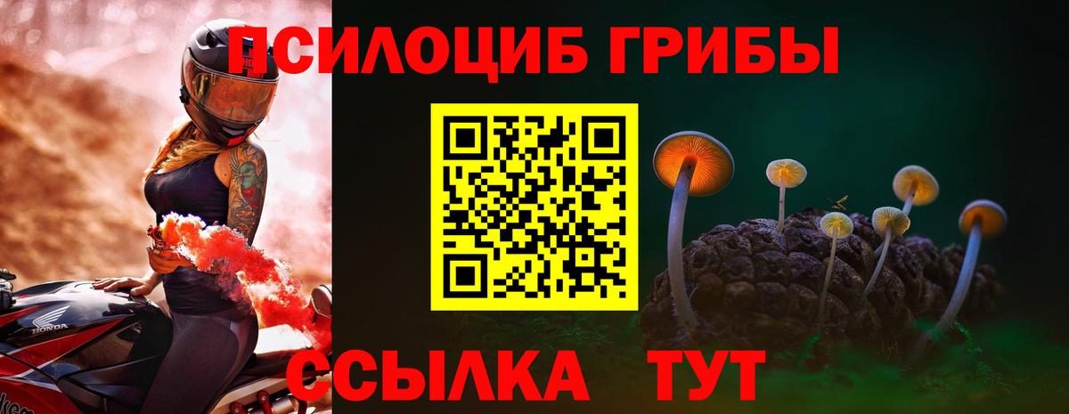 Псилоцибиновые грибы ЛСД Луга