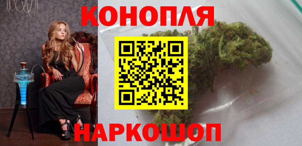 МЕФ Луга